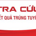 787×388-tra-cuu