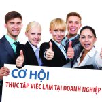 thuc-tap-viec-lam-1