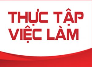 Chương trình Thực tập sinh tiềm năng Saigon City Homes